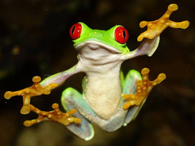 Смотреть фото Загадки для детей с ответами Фото Загадки для детей с ответами