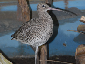 Фото Cамый большой угол зрения