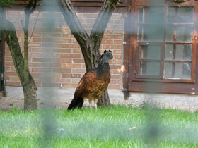 Смотреть фото Большой кракс Фото Большой кракс