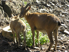 Фото Западнокавказский тур