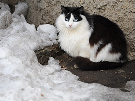 Смотреть фото Загадки для детей с ответами Фото Загадки для детей с ответами