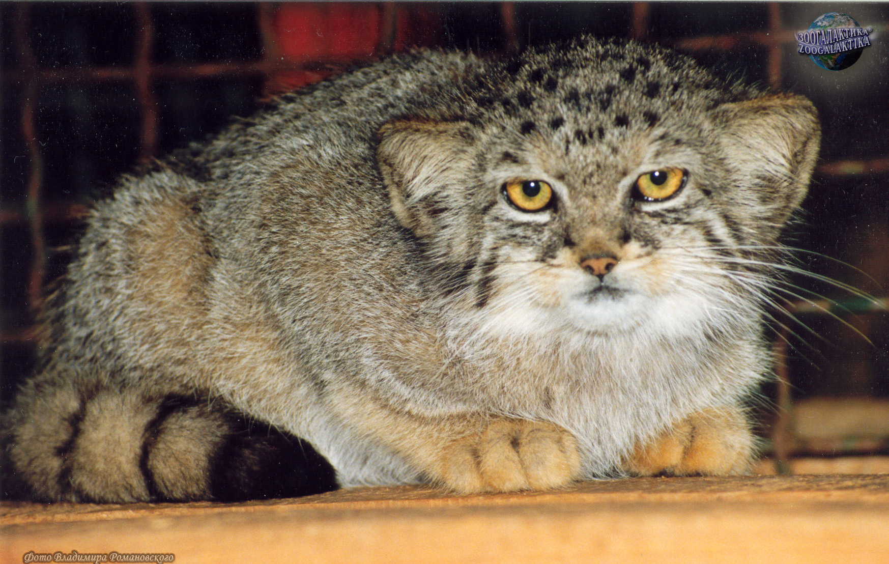 Красная Книга России