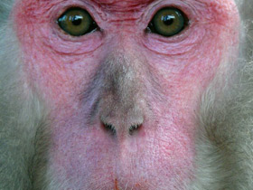 Смотреть фото «Мама, возьми меня на ручки!» Фото «Мама, возьми меня на ручки!»