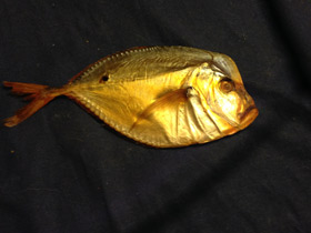 Фото Обыкновенная селена