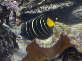 Смотреть фото Изумрудный ангел Фото Изумрудный ангел