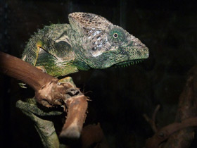 Фото Cамый большой угол зрения